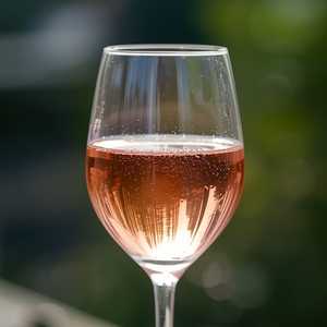 Abrepuertas Galáctico Rosé, Querétaro Mexico 2023