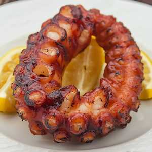 Grilled Octopus