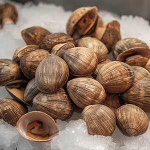 Steamers (Market)