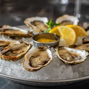 Oysters - Chef's Daily Selection