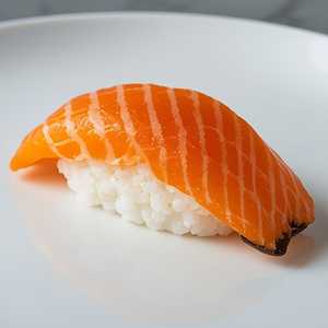 Salmon