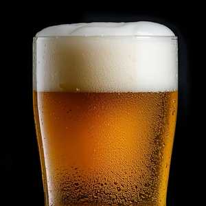 holy mountain brewing white lodge wit