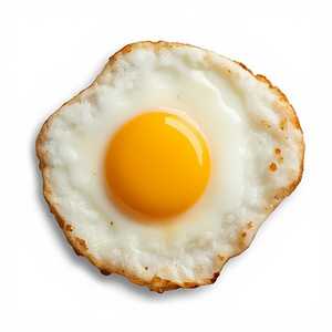 Fried Egg