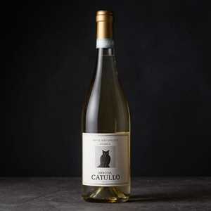 Valpolicella Bertani Ripasso Classico Superiore Catullo (95 Points) 2020