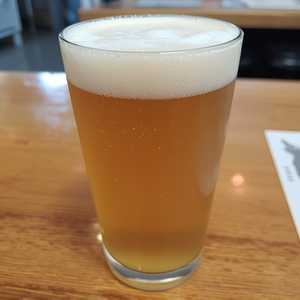 Arbor - Rainbow IPA
