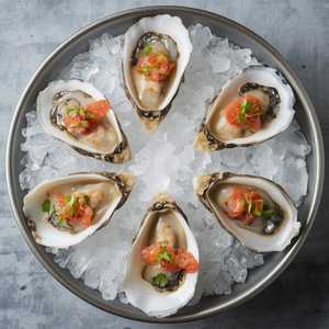 OYSTERS