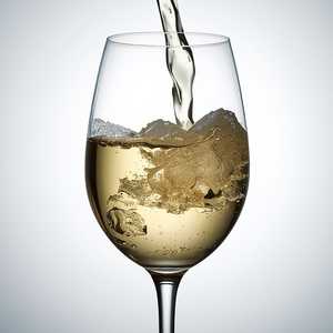 Lobo Hills Sauvignon Blanc