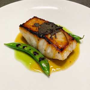 Miso Sea Bass