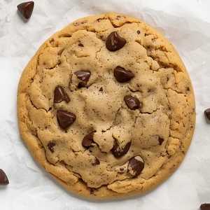 Chocolate Chip Cookie