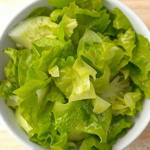 BOSTON LETTUCE
