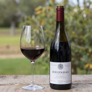 Syrah Blend Gigondas Grande Reserve L'Hallali (Rhône Valley) 2021
