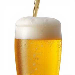 ATHLETIC BREWING CO athletic lite n/a lager