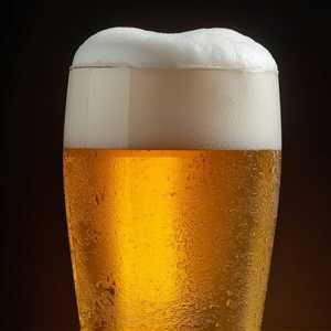 Neshaminy Creek Wayward Wheat