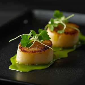 Matcha Scallop Carpaccio