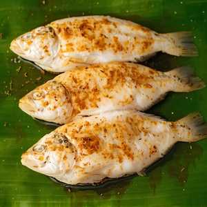 Marinated Basa Fish