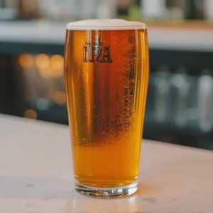 Fort Point Villager IPA