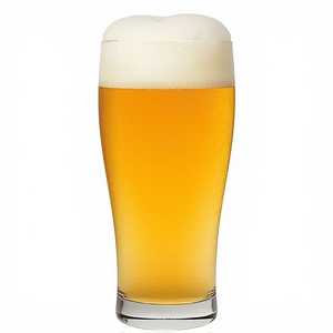 Societe Brewing Co. The Pupil