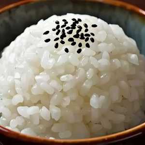 Sushi Rice