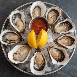 Oysters