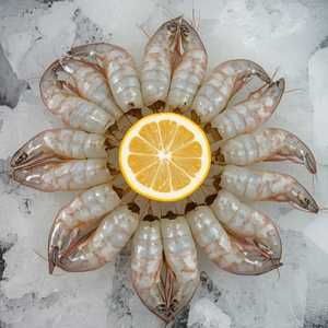 White Shrimp