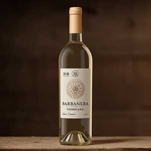 Trebbiano, Barbanera, Italy (Bottle)