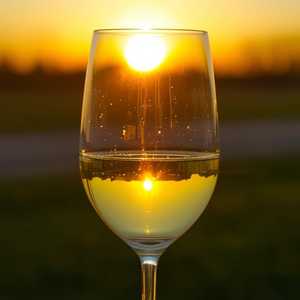 SEA SUN BY CAYMUS, CHARDONNAY