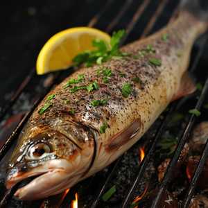 Rainbow Trout