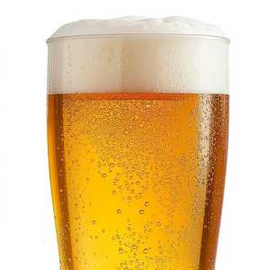 Fort Point Kolsch