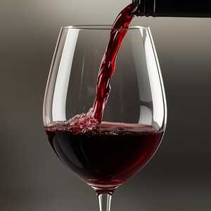 Mencia Liquid Geography, Northeast Spain
