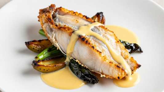 Snapper