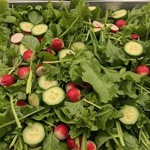 Mixed Greens