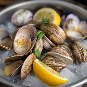 Chesapeake Littleneck Clams
