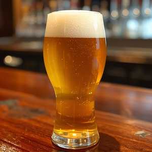 Lagunitas Little Sumpin'
