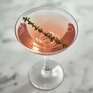 Grapefruit and Thyme Martini