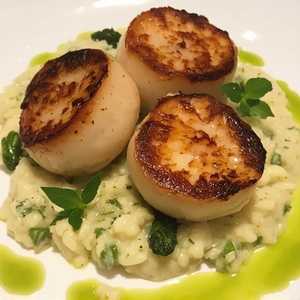 George's Bank Seared Sea Scallops