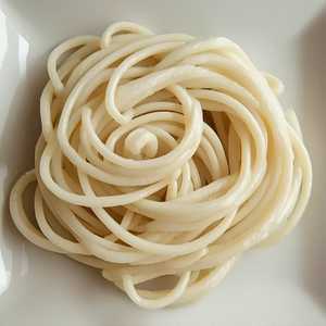 Udon Noodle