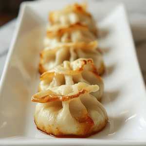 Pan Fried Pork Gyoza Dumplings