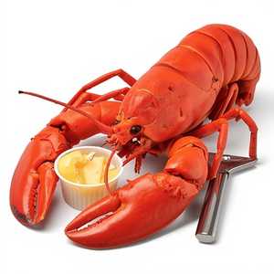 Steamed Lobster