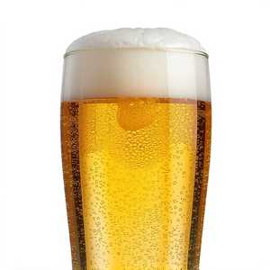Denizens Born Bohemian Pilsner