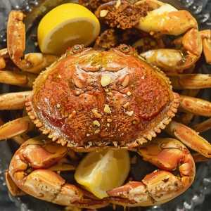 Dungeness Crab (Whole Crab)