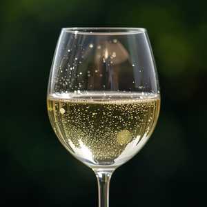 Sauvignon Blanc - Stolpman Unfiltered Ballard Canyon