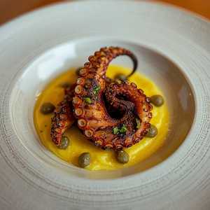 Grilled Octopus