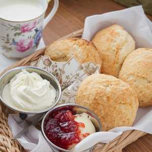 SCONES BASKET & CLOTTED CREAM