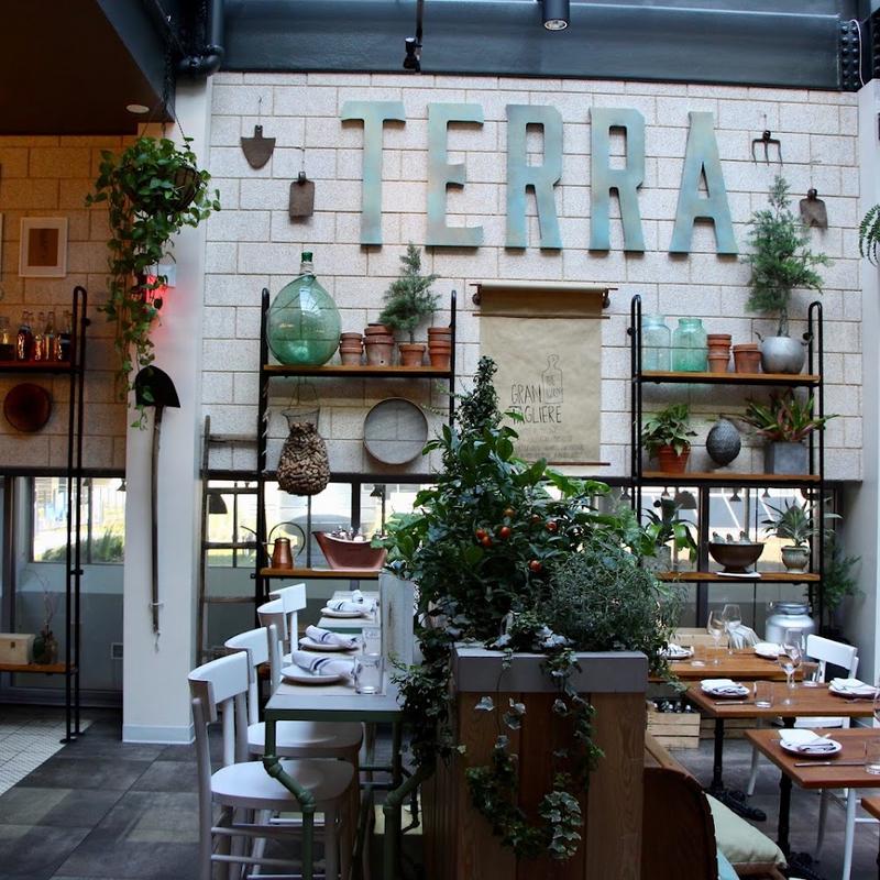Terra